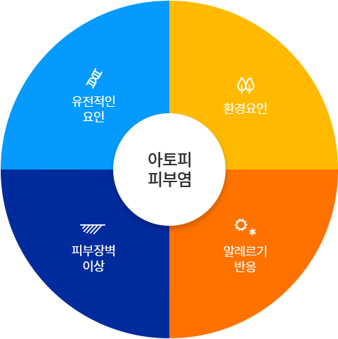 아토피피부염 원인