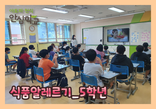 [영월] 청령포초등학교 9.png